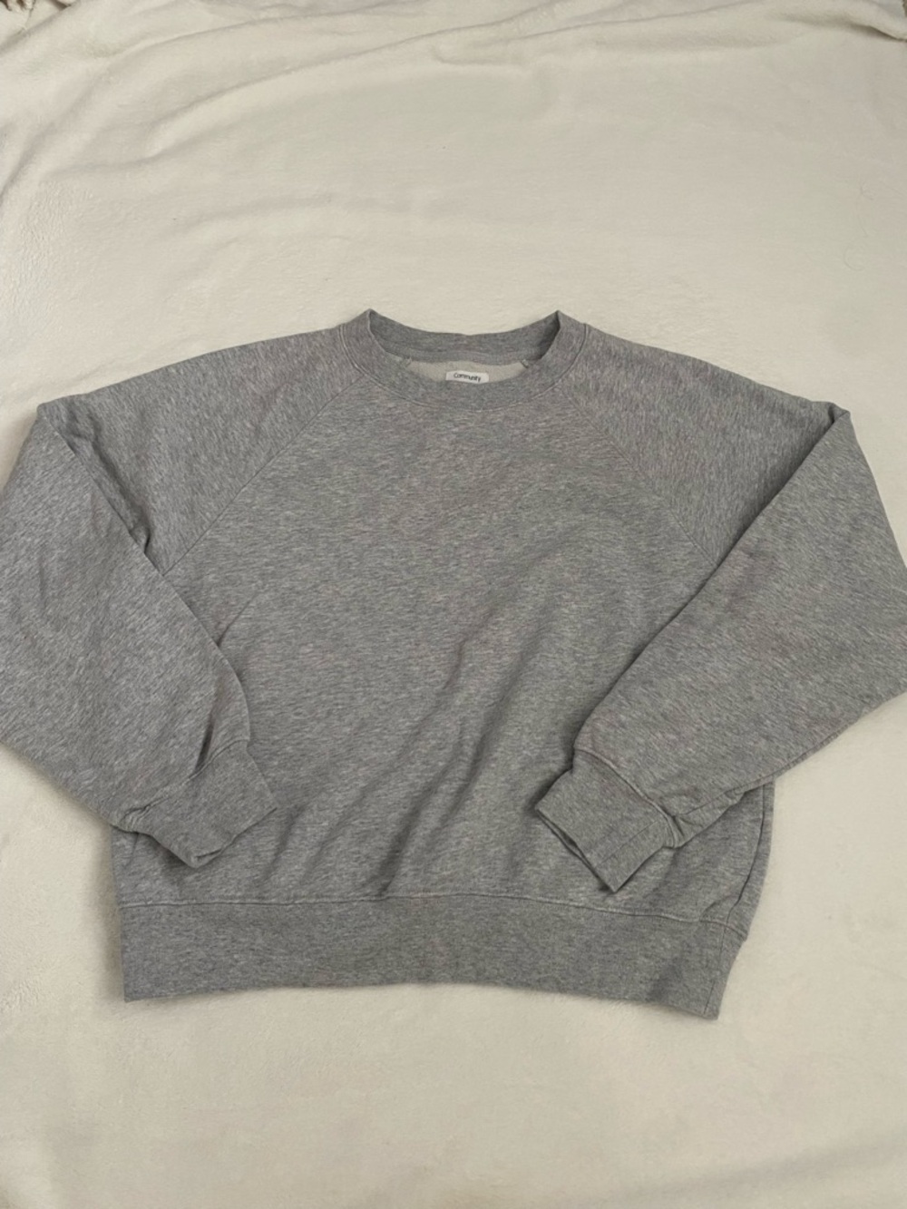 Aritzia Casual Grey Crewneck Sweatshirt
